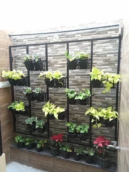 Vertical garden living wall feature